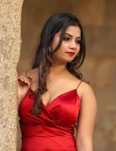 call girl service in Visnagar